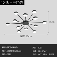 12 голов лепесток (три -росковое изменение света)