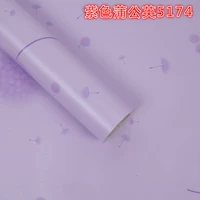 Фиолетовый одуванчик 5174