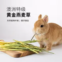 Spot 5a ручная работа с выбором зеленого овса травяной кролик Dorch Dorch Main Grass 500 г ручной подбор Ao Mai One Dative 2 Pack Post