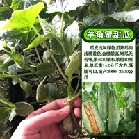 Темно коричневый