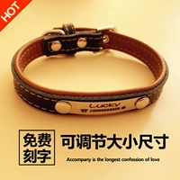 Коричневый воротник (избранное предпочтительнее)