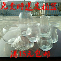 Bình thủy tinh bình thủy tinh hoa thủy canh chậu hoa lục bình bể cá vi cảnh chai thủy tinh - Vase / Bồn hoa & Kệ chậu nhựa treo tường