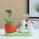SP-Love Rabbit+RADISH BOTTLE