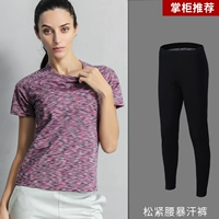 Пот T -Frish Short -Sleeved+Sweat Borns (фиолетовый)