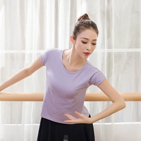 Светло-фиолетовый