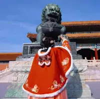 Оранжевый тигровый плащ (средний) размер выберите другие