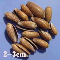 5 естественных сказочных улитков 5