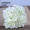 Cây mô phỏng cây xanh tường hoa cắm tường trang trí tường trong nhà hoa giả hoa màu xanh lá cây mô phỏng - Hoa nhân tạo / Cây / Trái cây