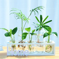 5 бутылок белой краски [растения в подарочной фигуре]