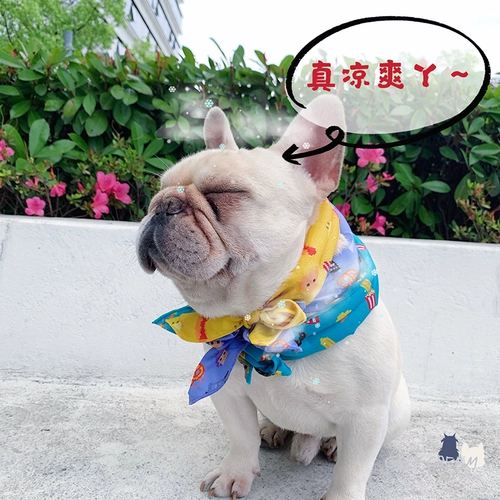 Серый кремовый гик планеты летняя собака, чтобы охладить ледяную шею, чтобы бороться с открытым на открытом воздухе и решить летнее ледяное полотенце