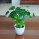 Maroon 3 Lotus Leaves + Round Cup