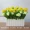 Phòng khách mô phỏng hoa chậu nhựa hàng rào sắp xếp hoa trang trí nhà mặt bàn trang trí hoa giả và cây trang trí - Trang trí nội thất
