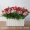 Phòng khách mô phỏng hoa chậu nhựa hàng rào sắp xếp hoa trang trí nhà mặt bàn trang trí hoa giả và cây trang trí - Trang trí nội thất