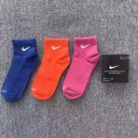 [Средняя труба 3 двойной мгновенный] стиль 4 Clei Blue нежная оранжевая роза Red