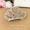 Mũ lưỡi trai trẻ em Vương miện headband Công chúa xinh đẹp Cô gái tóc Comb Hàn Quốc Little Girl Headband Hairpin Phụ kiện tóc cho bé - Phụ kiện tóc