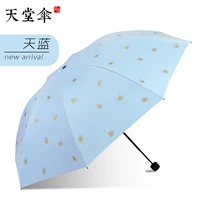 【Ginkgo Flying】 Tiansan