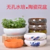 Товары от 新百益陶瓷