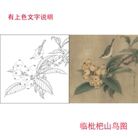 L685 Li Xiaoming HD Gongbai Stroke Guoxing Guo Painting Ling Song Song Yushan Bird Pictures имеют шаги и графические персонажи, чтобы объяснить проект