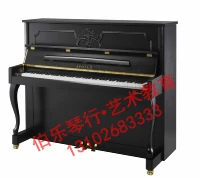Nhật Bản Apollo APOLLO hoàn toàn mới nhập khẩu đàn piano thẳng đứng A-F30ES màu đen mờ - dương cầm piano co