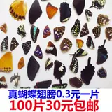 Образец для бабочки крылья, крылья бабочки, 100 таблеток 38 Юань бесплатная доставка.