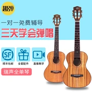 Nhạc cụ vui nhộn cao cấp Reyes ukulele AC200 AT200 Gỗ keo nhỏ tất cả trong một cây đàn guitar nhỏ uk - Nhạc cụ phương Tây