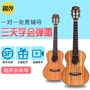 Nhạc cụ vui nhộn cao cấp Reyes ukulele AC200 AT200 Gỗ keo nhỏ tất cả trong một cây đàn guitar nhỏ uk - Nhạc cụ phương Tây đàn guitar điện