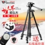 Khung chụp ảnh chân máy ảnh Canon EOS 750d 800d 1500d 200d 1300d 6d - Phụ kiện máy ảnh DSLR / đơn tripod điện thoại