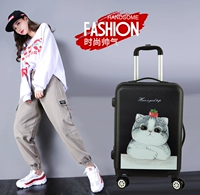 Коричневый кот