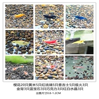 Смотреть пакет креветок 6