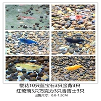 Смотреть пакет креветок 4