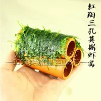 Трехедний дом креветок мозы