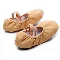 Верблюд холст