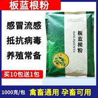 Beast Banlangen Pink Pink Banlang Gen Последняя синяя корова Сан -свинк, корова, овца, куриная утка, холодная жидкость прозрачная тепло анти -вирус