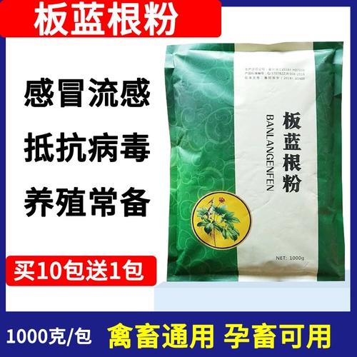 Beast Banlangen Pink Pink Banlang Gen Последняя синяя корова Сан -свинк, корова, овца, куриная утка, холодная жидкость прозрачная тепло анти -вирус