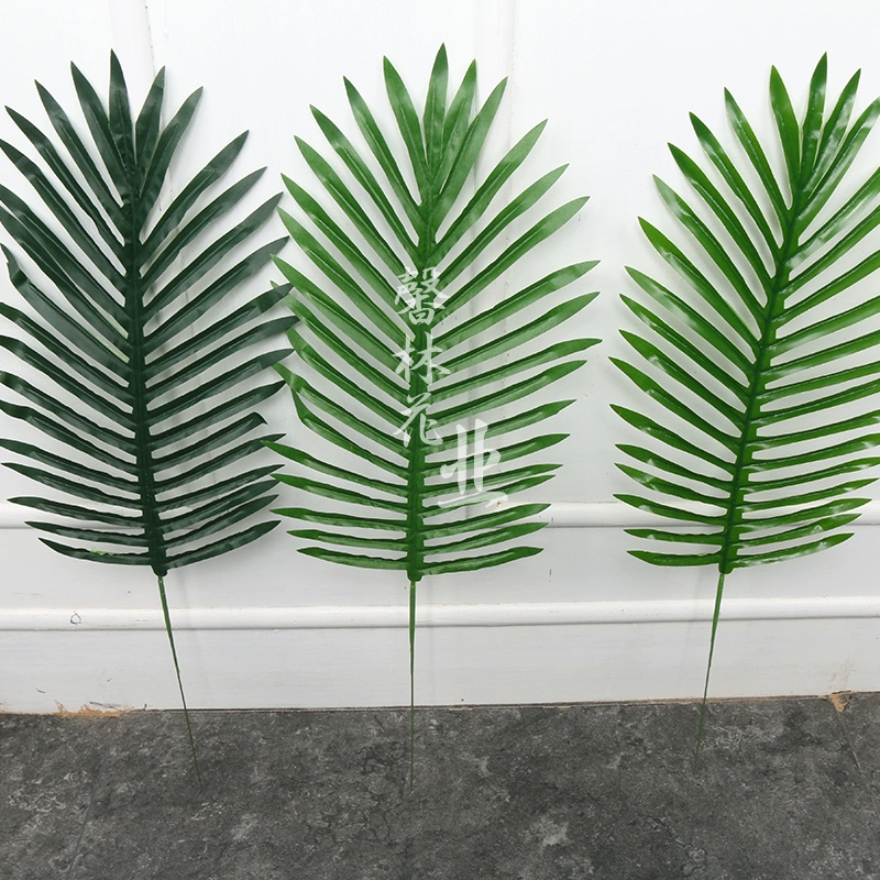 Tiesu Metasequoia mô phỏng cây xanh lá giả lá bạc phơ trong nhà phòng khách cắm hoa đồ trang trí rải rác đuôi hướng dương cây vật liệu tường - Hoa nhân tạo / Cây / Trái cây