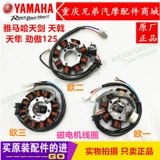 Строительство мотоцикла Yamaha Jym125 Катушка зажигания меча Tiaoli 隼 建 建 建 建 建 建 建