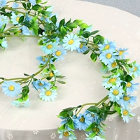 Синий солнце Chrysanthemum sihe 2 метра длиной