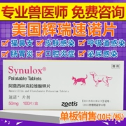 Pfizer Synulox sinuo 50mg chó mèo mũi mũi lạnh ho thuốc bệnh da nhiễm trùng 10 - Cat / Dog Medical Supplies