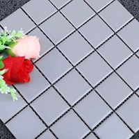 Серебряный 48 светло -серый свет