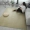 Mùa hè Nhật Bản thảm phòng khách phòng ngủ thảm yoga mat tatami ghế mây bốn mùa bò con nệm - Thảm
