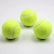 Phục vụ trò chơi cơ sở và trung cấp thú cưng đặc biệt đồ chơi cao hồi phục quần vợt đào tạo thiết bị bóng trẻ em 3