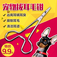 Con chó mới bằng thép không gỉ kìm kìm Teddy lông tai thú cưng cầm máu kẹp tai mèo làm sạch tai - Cat / Dog Medical Supplies Dụng cụ phòng khám thú y