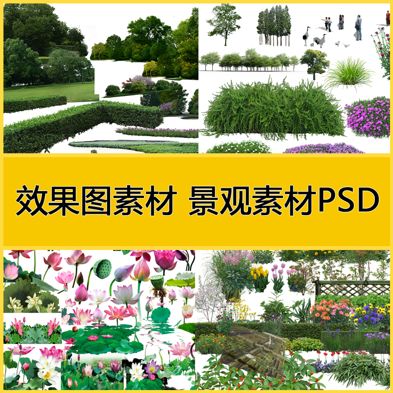 建築景觀園林綠化效果圖ps設計免摳圖植物灌木喬木素材psd合集