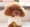 Bánh gạo nhỏ trang phục thú cưng nguyên bản Yorkshire Teddy cat dog handmade giả lông cổ áo mặt trời hoa nhỏ khăn choàng - Quần áo & phụ kiện thú cưng