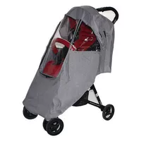 Дождь покровитель