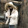 乌 77 Cổ áo lông thú thật 貉子 trong phần dài của quần áo cotton nữ phiên bản Hàn Quốc lười biếng thả lỏng dây rút thắt lưng áo khoác kaki nữ lót lông