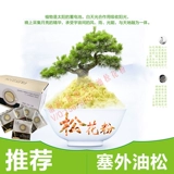 Сестра Чен рекомендует сатсусака соевое молоко порошок молока, стена разбитая масло сосны+северо -восточная африканская перенос