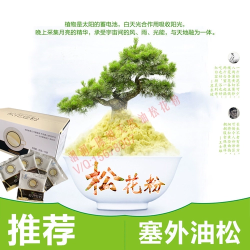 Сестра Чен рекомендует сатсусака соевое молоко порошок молока, стена разбитая масло сосны+северо -восточная африканская перенос