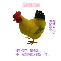 Курица (случайный цвет)