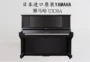 Nhật Bản nhập khẩu đàn piano cũ Yamaha YAMAHA UX30A cho người mới chơi đàn piano chuyên nghiệp - dương cầm đàn piano casio